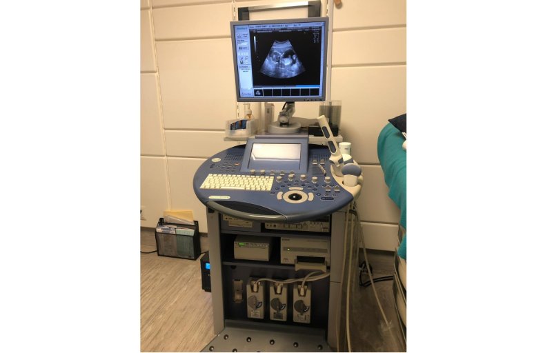 Fotografía de laDra. Paulina Peñuñuri